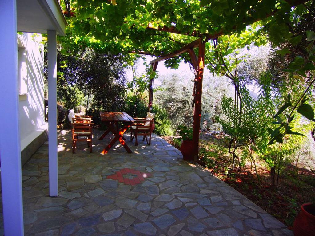 Villas Zoe Ksanemos Exteriér fotografie